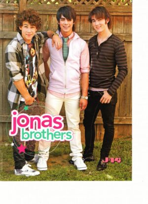 Jonas Brothers fence outdoor games