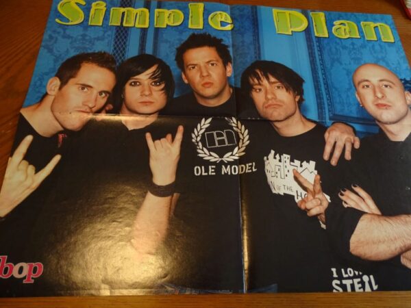 Simple Plan rock idols