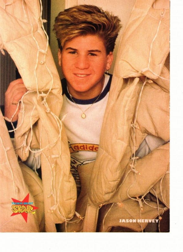 Jason Hervey teen magazine pinup clipping Wonder Years Star 90's lights