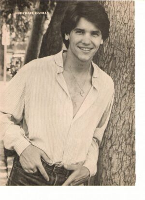 Michael Damian Donna Dixon teen magazine pinup clipping 1970's Movie Screen