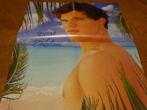 Taylor Lautner shirtless beach poster New Moon