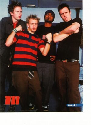 Sum 41 teen magazine pinup clipping rock and roll flexing M magazine