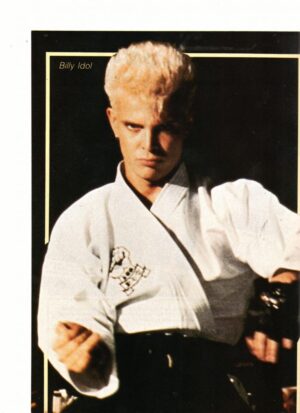 Billy Idol teen magazine pinup karate time
