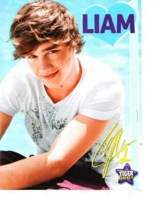 Liam Payne One Direction teen magazine pinup cute bangs Tiger Beat