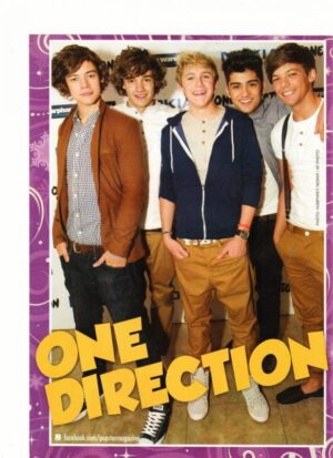One Direction Harry Styles teen magazine pinup double sided Pop Star hands in pockets