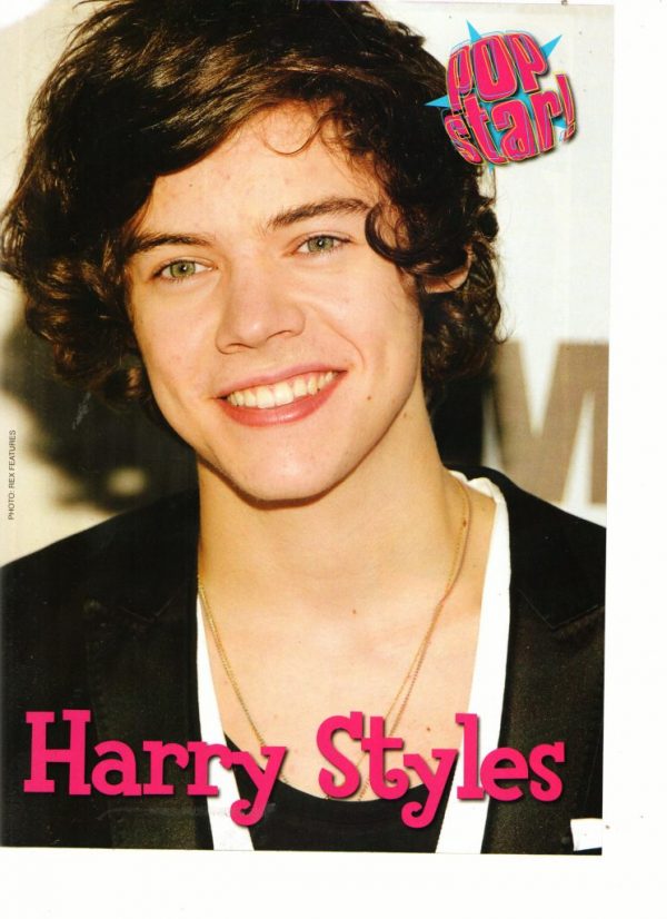One Direction Harry Styles teen magazine pinup double sided Pop Star hands in pockets