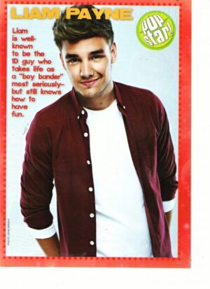 Liam Payne One Direction teen magazine pinup smirk Pop Star