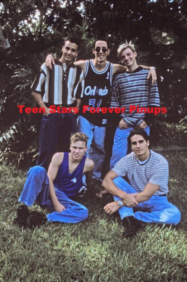 Backstreet Boys 4x6 or 8x10 photo pre fame 1994 Brian Littrell Kevin Richardson AJ Mclean Howie Dorough Nick Carter in the grass shade