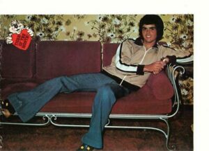 Donny Osmond teen magazine pinup clipping red couch Tiger Beat