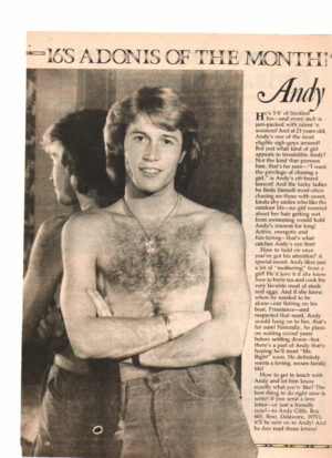 Andy Gibb teen magazine clipping shirtless 16 star of the month