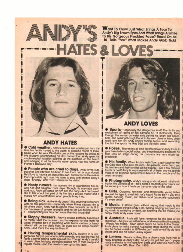 Andy Gibb teen magazine clipping hates and loves