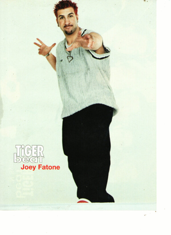 Nsync Joey Fatone teen magazine pinup awards show 90's teen idols