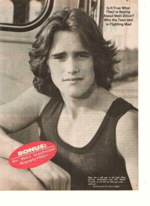 Matt Dillon teen magazine pinup clipping Bop Teen Idol muscles 80's hottie