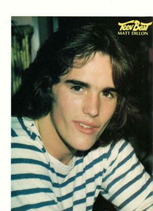 Matt Dillon Shaun Cassidy Barnbara Barrie teen magazine pinup clipping Teen Beat