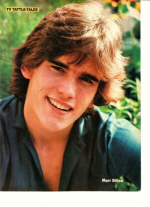 Matt Dillon Al Corley Dynasty teen magazine pinup clipping TV Tattle Teen Idol