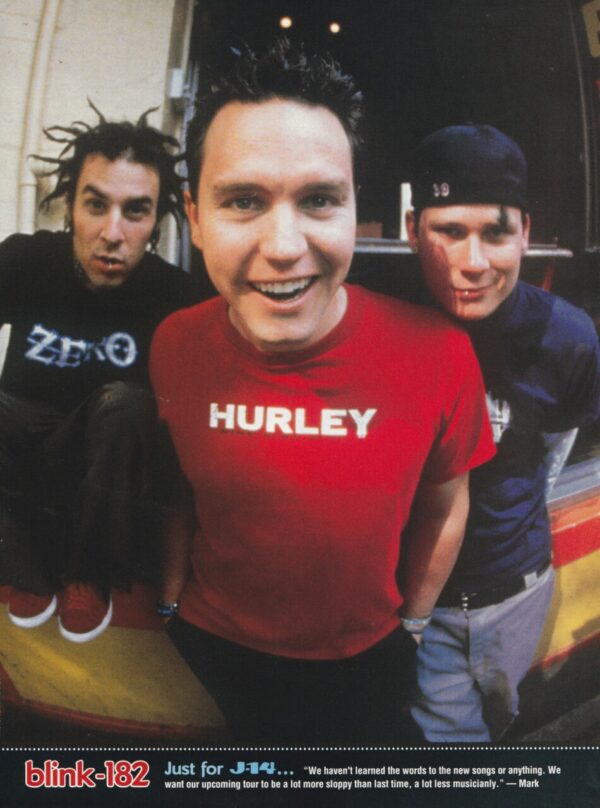 Blink 182 Eminem teen magazine pinup Hurley shirt J-14