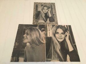 Peggy Lipton teen magazine pinup clippings The Mod Squad