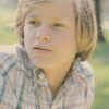 Lance Kerwin young teen idols pinup 70's hottie