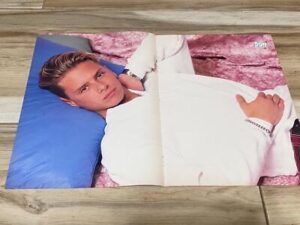Jeremy Jordan Boyz 2 Men Paula Abdul teen magazine poster clippings Bop pillow