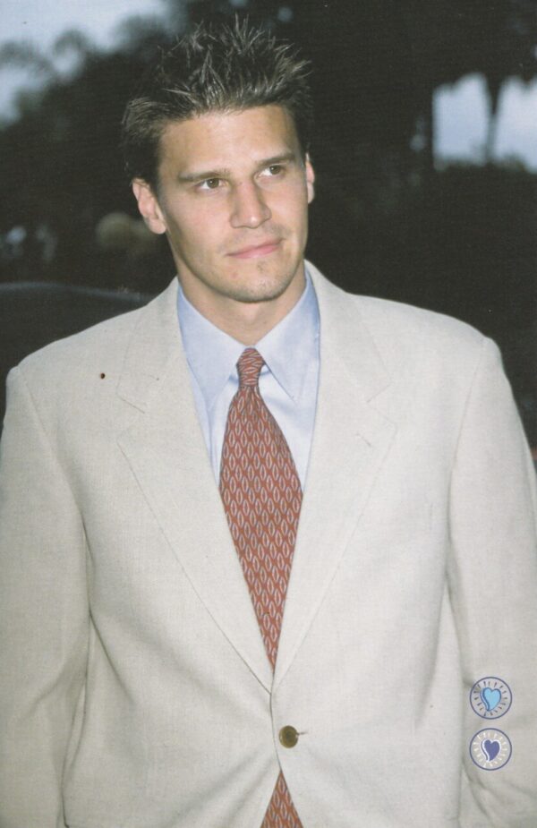 David Boreanaz red tie