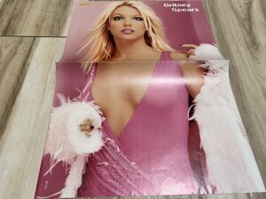 Britney Spears pink dress skin tight sexy pop princess Bravo poster