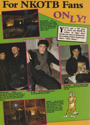 New Kids on the Block Color Me Badd teen magazine pinup NKOTB for fans only