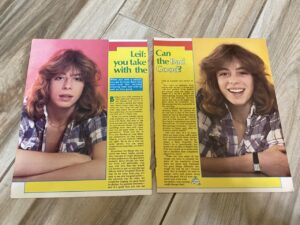 Leif Garrett teen magazine clipping take the bad with the good Tiger Beat