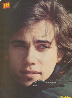 Robby Benson Barry Manilow teen magazine pinup clippings pix close up teen idols