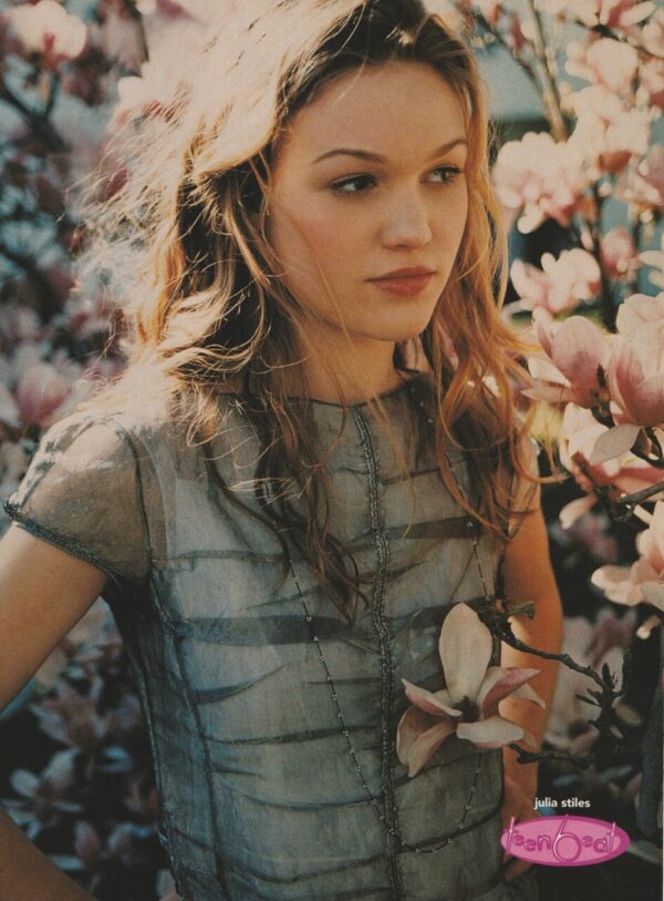 Julia Stiles pinup teen idols