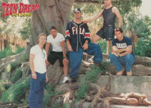 Boyzone teen magazine pinup nature tree boyband Teen Dream