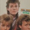 A-ha Mackenzie Astin teen magazine pinup stern face Teen Beat