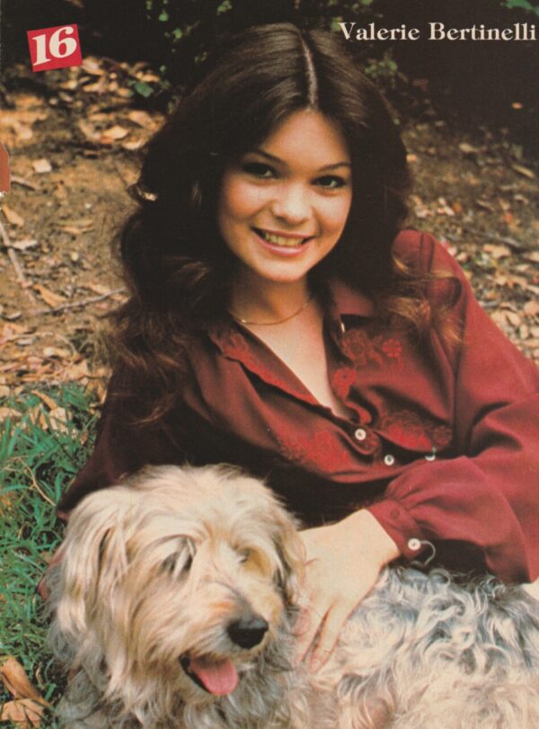 Valerie Bertinelli The Knack teen magazine pinup laying in the grass teen idols