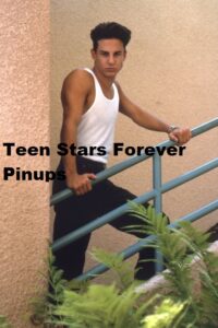 California Dreams Jay Anthony Franke 4×6 or 8×10 Photo vintage picture celebrity pix 90's teen idols promo steps muscles