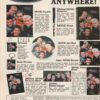 Joey Mcintyre Nsync teen magazine clipping Teen Girl Power New Kids - Image 2