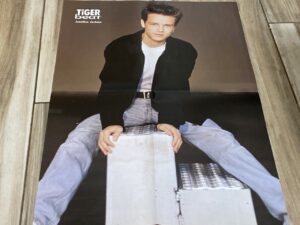 Jonathan Jackson Jonathan Taylor Thomas teen magazine poster jeans open legs Tiger Beat