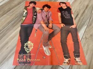Jonas Brothers teen magazine poster clipping Teen Dream Tiger Beat Pop Star M