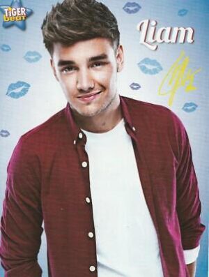 One Direction Liam Payne teen magazine pinup clipping teen idols J-14 M Quizfest