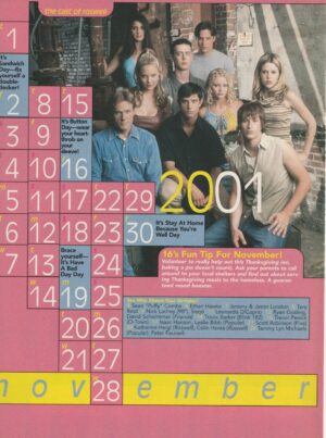 Roswell Jason Behr Brendan Fehr Shiri Appleby Katherine Heigl teen magazine clipping November Calendar