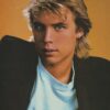 Ryan Lambert Pat Petersen teen magazine pinup Tiger Beat beach sunset - Image 2