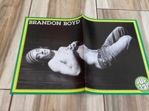Hilary Duff Brandon Boyd teen magazine poster clipping Pix shirtless Incubus