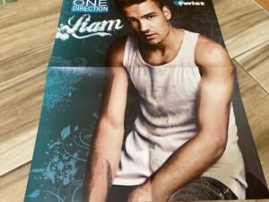 Liam Payne Harry Styles teen magazine poster magazine clipping One Direction HOT