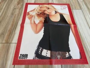 Hilary Duff Ashton Kutcher teen magazine poster clipping Pop Star windy hair pix