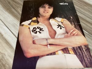Bay City Rollers teen magazine poster open shirt outside tree Teen Beat