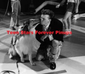 Lassie Donnie Wahlberg New Kids on the block 4x6 or 8x10 Photo vintage 1989 kissing dog