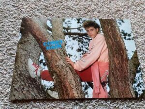 Corey Haim Kirk Cameron teen magazine poster clipping Tenn Machine tree RIP Bop