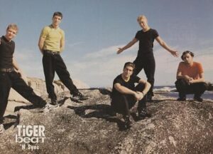 Nsync Backstreet Boys teen magazine pinup clipping rocks Tiger Beat pop stars