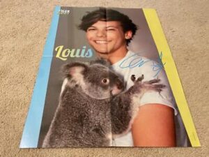 One Direction Louis Tomlinson Niall Horan teen magazine poster clipping Tiger