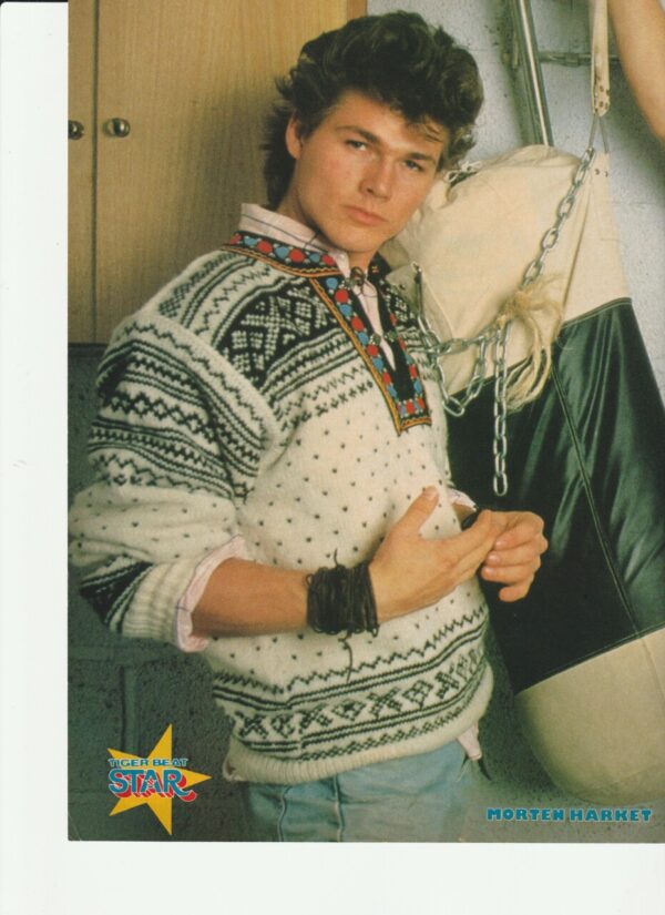 Morten Harket A-ha teen magazine pinup punching bag Star