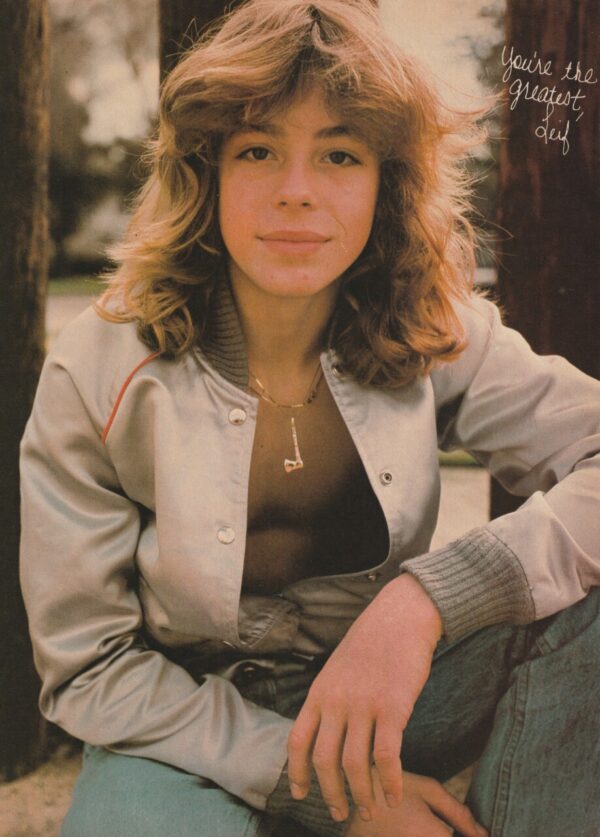 Leif Garrett Andy Gibb teen magazine pinup clipping open shirt squatting sexy pose in jeans