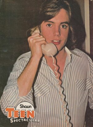 Bee Gees Shaun Cassidy teen magazine pinup clipping phone call Teen Spectacular